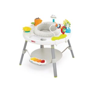 Skip Hop Explore & More Activity Center